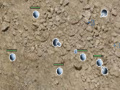Oyunu Area51 Tower Defense