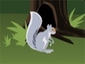 Oyunu Squirrel