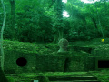 Oyunu Abandoned Mayan Forest Escape