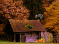 Oyunu Mysterious Turkey Forest Escape 