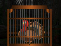 Oyunu Thanksgiving Turkey Cage Escape