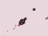Oyunu The Avian Mortar