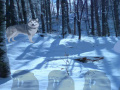 Oyunu Alaskan Winter Forest Escape