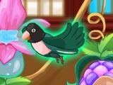 Oyunu My Sweet Bird