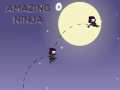 Oyunu Amazing Ninja