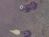 Oyunu Firefight