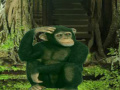 Oyunu Chimpanzee Forest Escape