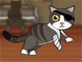 Oyunu Pirate Cat With Broken Leg