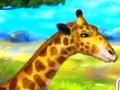 Oyunu Giraffe Zoo