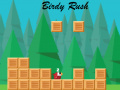 Oyunu Birdy Rush
