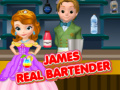 Oyunu James Real Bartender
