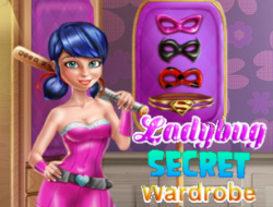 Ladybug Gizli Dolabı 