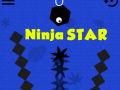 Oyunu Ninja Star