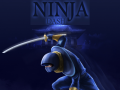 Oyunu Ninja Dash