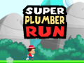 Oyunu Super Plumber Run