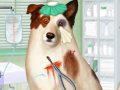 Oyunu Doctor For Dog With a Blog