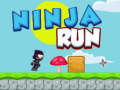 Oyunu Ninja Run 