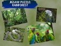 Oyunu Jigsaw Puzzle Rain Forest 