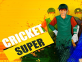 Oyunu Super Cricket      