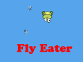 Oyunu Fly Eater