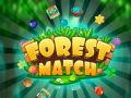 Oyunu Forest Match