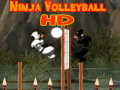 Oyunu Ninja Volleyball HD
