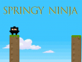 Oyunu Springy Ninja