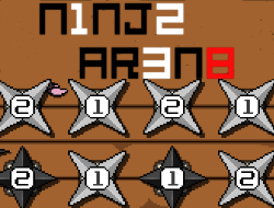 Ninja arenası 