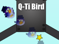 Q-Ti Kuş 