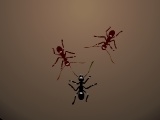Oyunu Ants Arena