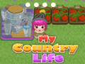 Oyunu My County Life