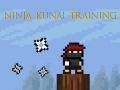Oyunu Ninja Kunai Training