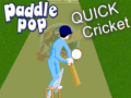 Oyunu Paddle Pop Quick Cricket
