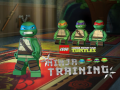 Oyunu Teenage Mutant Ninja Turtles: Ninja Training