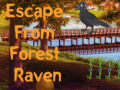 Oyunu Escape from Forest Raven