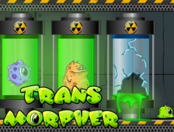 Transmorpher 
