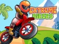 Oyunu Extreme Bikers