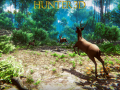 Oyunu Hunter 3D