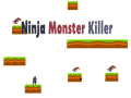 Oyunu Ninja Monster Killer