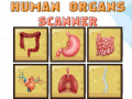 Oyunu Human Organs Scanner