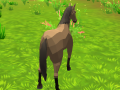 Oyunu Horse Simulator 3D