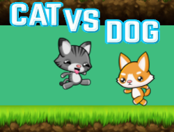 Kedi vs köpek 