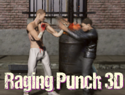 Raging Punch 3D