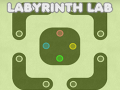 Oyunu Labyrinth Lab