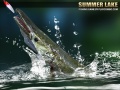 Oyunu Summer Lake 1.5