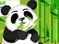 Oyunu Panda Care