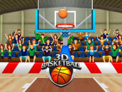 3D Basketbol