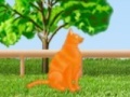 Oyunu Combat cat