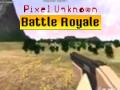Oyunu Pixel Unknown Battle Royale