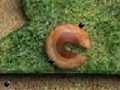 Oyunu Eggs Escape